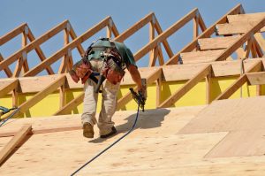 Structural Plywood, Structural Ply, Non Structural Ply, Non Structural Plywood, Pine Plywood