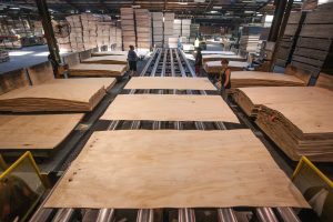 Making plywood sheets