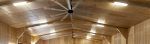 Hoop Pine Ceiling